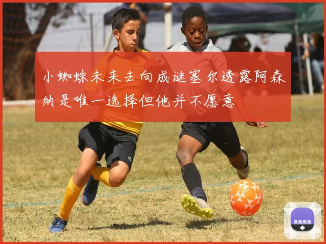 小蜘蛛未来去向成谜塞尔透露阿森纳是唯一选择但他并不愿意
